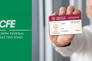 INAPAM 2024: Estos adultos mayores tendrán 50% de descuento en su recibo CFE