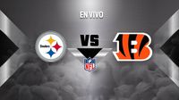 Pittsburgh Steelers vs Cincinnati Bengals EN VIVO NFL Semana 18
