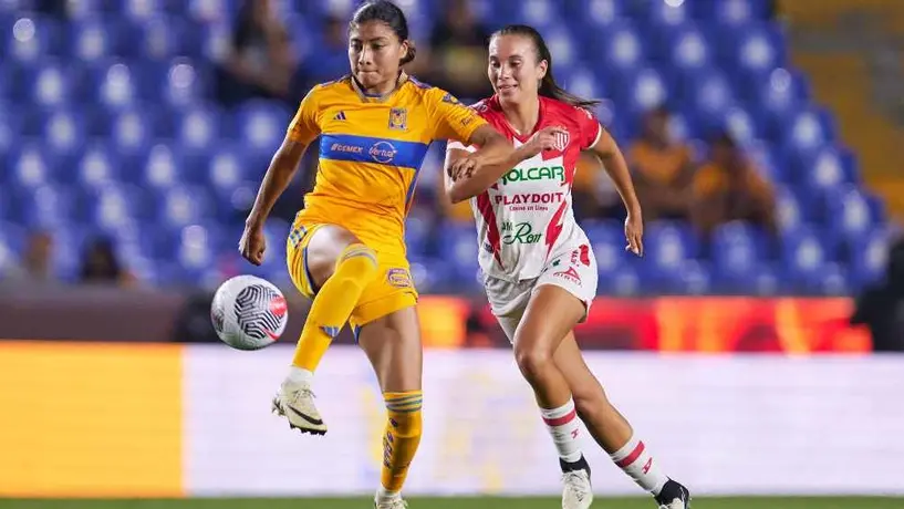 Necaxa y Tigres, dos realidades opuestas