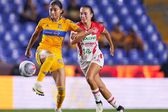 Necaxa y Tigres, dos realidades opuestas