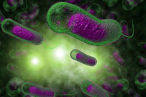 Ahora detectan casos de la bacteria Klebsiella oxytoca en Michoacán y Guanajuato