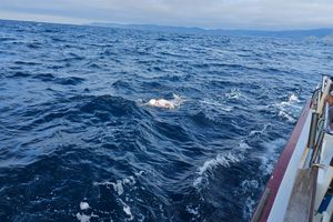 Ezequiel Becerril vence al temido Estrecho de Cook y suma su quinto mar rumbo al reto mundial