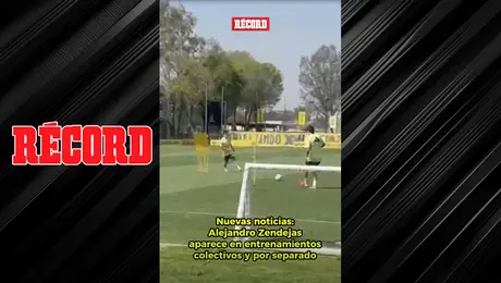 ACTUALIZACIÓN EN COAPA
