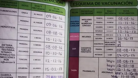 Así puedes recuperar tu cartilla de vacunación del IMSS