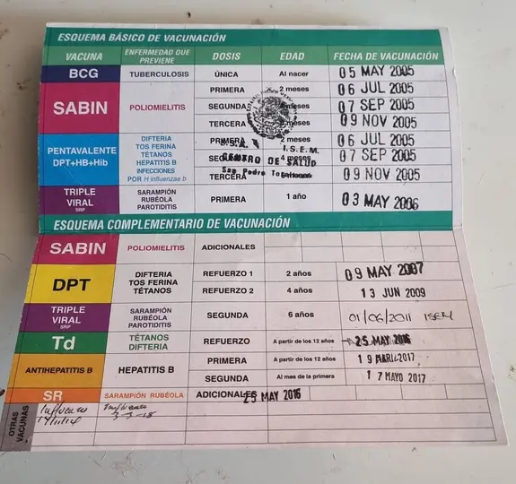 La cartilla de vacunación se puede reponer con unos simples pasos / Redes Sociales