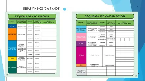 El IMSS permite consultar y recuperar la cartilla de vacunación en caso de extravío./ RS