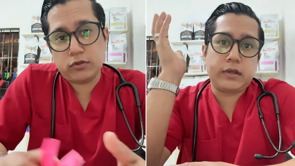 TikTok: Kreibex
