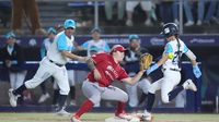 ¿La tercera es la vencida? Sultanes Femenil regresa a la Serie de la Reina y buscará revancha ante Diablos Rojos