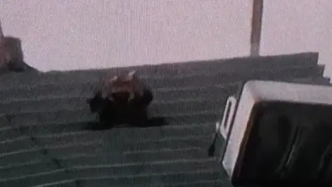 Videos del momento en que el trabajador quedó colgado en el piso 34 comenzaron a circular en redes sociales./ X: @opcion_mx