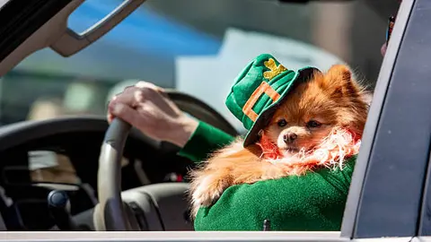 San Patricio es reconocido por llevar el cristianismo a Irlanda en el siglo V./ Pixabay