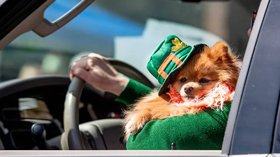 San Patricio es reconocido por llevar el cristianismo a Irlanda en el siglo V./ Pixabay