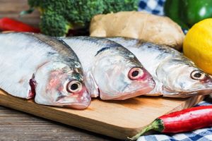 ¡Alerta en México! Detectan venta de pescado falso en mercados y restaurantes