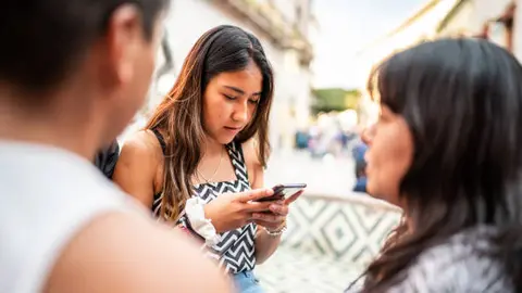 La propuesta fue impulsada por la diputada del PAN, Laura Álvarez. / iStock