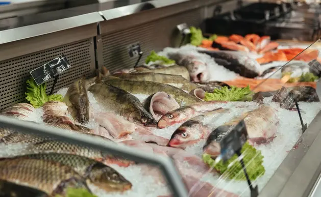 Se detectó que si compras huachinango te podrían estar dando tilapia o bagre / FREEPIK