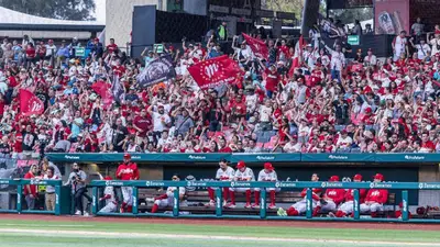 Diablos Rojos aplastan a Tigres y vuelven al triunfo
