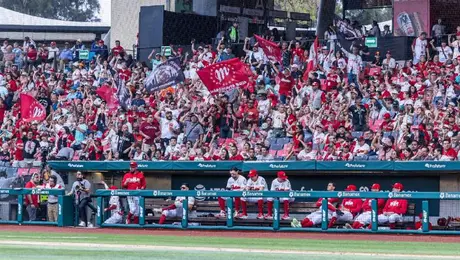 Diablos Rojos aplastan a Tigres y vuelven al triunfo