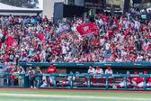 Diablos Rojos aplastan a Tigres y vuelven al triunfo