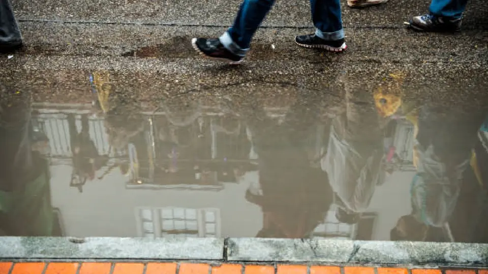 ¿La lluvia puede ayudarte a ahorrar agua? Según la UNAM así puedes aprovecharla desde casa