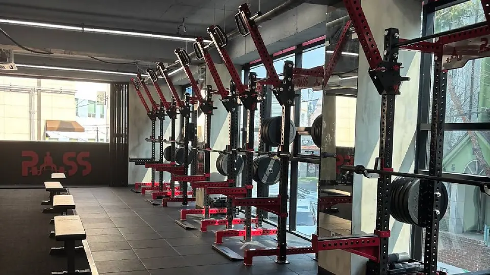 Pass Performance Gym l Alfredo Olivarez