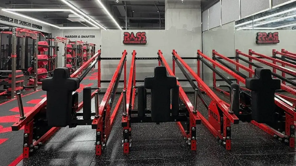 Pass Performance Gym l Alfredo Olivarez