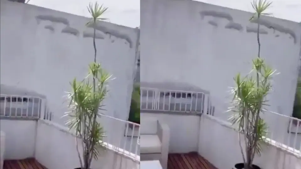 El sismo de mayor magnitud registrado en Guatemala tuvo su epicentro en el departamento de Quetzaltenango / X:@agrimensuraferg