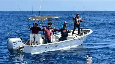 VIDEO: pescadores hallan un torpedo frente a Ensenada y alertan a la Marina