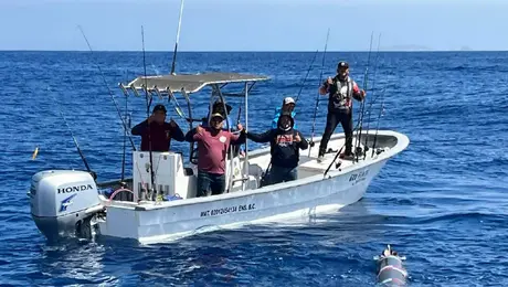 VIDEO: pescadores hallan un torpedo frente a Ensenada y alertan a la Marina