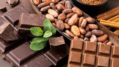 Festival del Cacao llega a CDMX: fechas, sede, precios y actividades