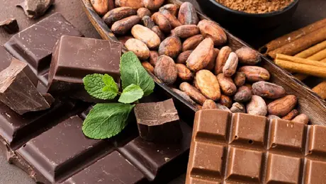 Festival del Cacao llega a CDMX: fechas, sede, precios y actividades