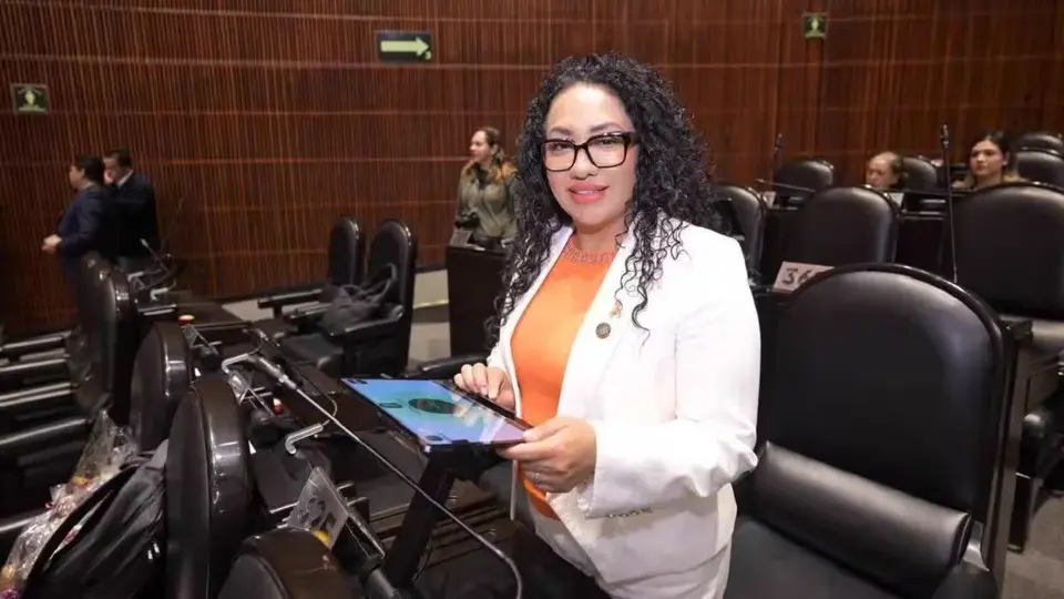 La diputada federal formó parte de las comisiones de Derechos Humanos y Reforma Política-Electoral en San Lázaro / Especial