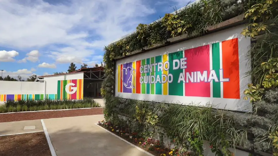 Se estrenó un nuevo espacio dedicado al rescate, atención y recuperación de animales en situación de abandono / Especial