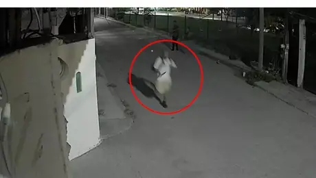 Claudia Tacoronte; su presunto homicida vivía a cinco calles del crimen y fue captado robando unos zapatos
