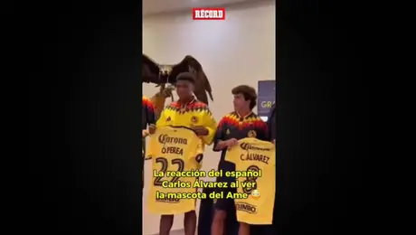 Así reaccionó Carlos Álvarez a la mascota del América