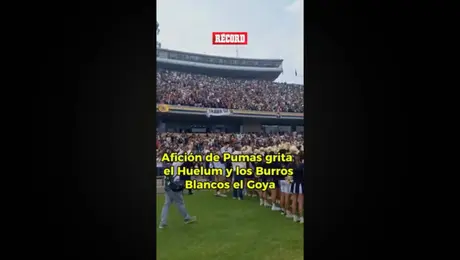 Afición de Pumas grita el Huelum y los Burros Blancos el Goya