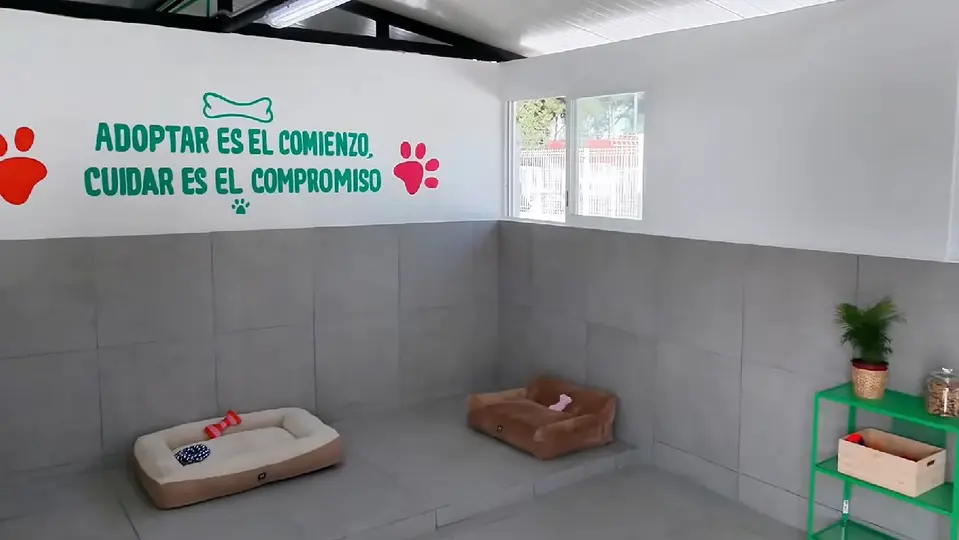 El complejo cuenta con 27 módulos, de los cuales 20 están destinados a las estancias caninas / Especial