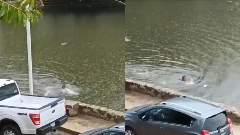 VIDEO: Cocodrilo persigue a hombre y casi lo devora en una laguna en Villahermosa