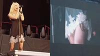 ¡A Taylor Momsen la muerde un murciélago en pleno escenario! No creerás su reacción