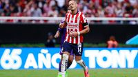 Chivas viaja sin ‘Chicharito’ de cara al juego ante Tigres