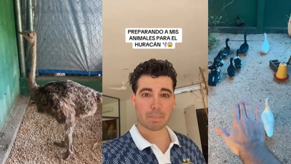 Hombre se hace viral tras crear un arca de Noé para resguardar animales por el huracán ‘Beryl’