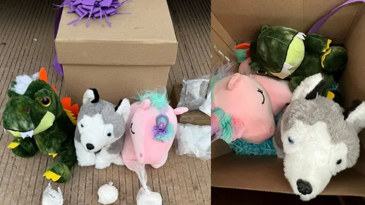 En un paquete que iba a ser enviado a Baja California y Veracruz, encuentran peluches llenos de cocaína