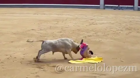 Torero Jesús Moreno resulta gravemente herido por cornada en Feria de la Comunidad de Madrid