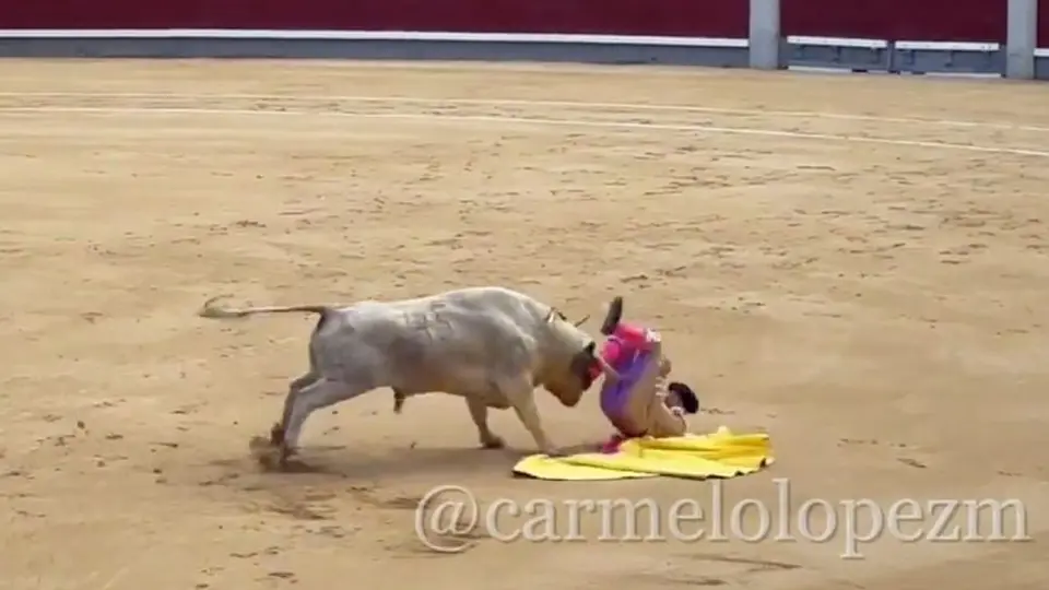 Torero Jesús Moreno resulta gravemente herido por cornada en Feria de la Comunidad de Madrid
