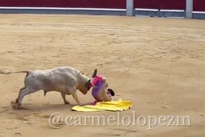 Torero Jesús Moreno resulta gravemente herido por cornada en Feria de la Comunidad de Madrid