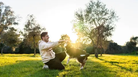 ¿Sabes cuál es el mejor horario para sacar a pasear a tus mascotas durante una ola de calor? ¡Descúbrelo aquí!