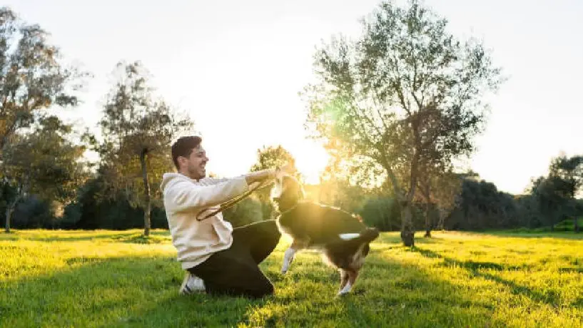 ¿Sabes cuál es el mejor horario para sacar a pasear a tus mascotas durante una ola de calor? ¡Descúbrelo aquí!