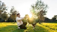 ¿Sabes cuál es el mejor horario para sacar a pasear a tus mascotas durante una ola de calor? ¡Descúbrelo aquí!