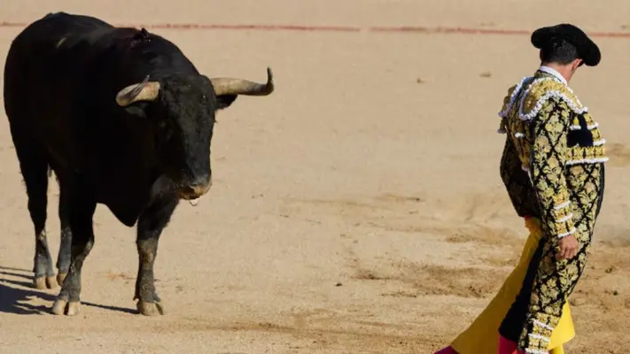 ¡Triunfo histórico! Colombia prohíbe corrida de toros en todo el país