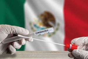 ¿Nueva ola de covid en México? Los casos positivos han aumentado en las últimas semanas