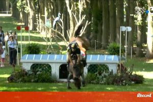 Jinete portugués cae de su caballo y se rompe la clavícula en París 2024