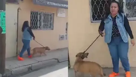 Lady Popó: Mujer se niega recoger las heces de su mascota y grita que quieren abusar de ella cuando la graban